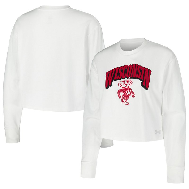 Under Armour Wiscon… - image
