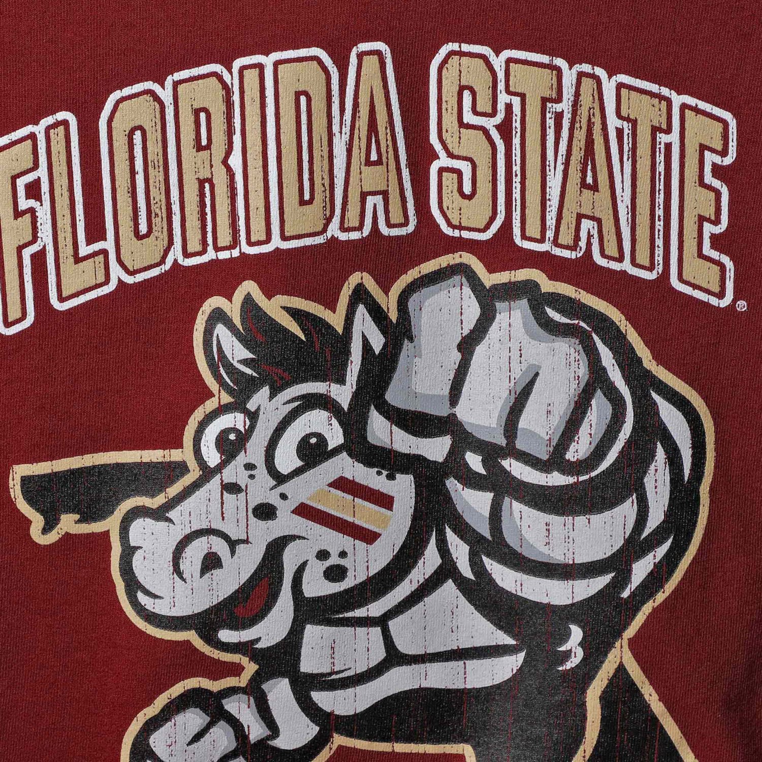 Youth Champion Florida State Seminoles Strong Mascot T-Shirt                                                                     - view number 2