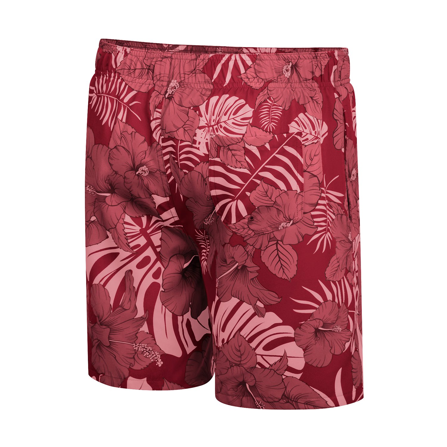 Colosseum Athletics Men's University of Arkansas The Dude Swim Shorts                                                            - view number 2