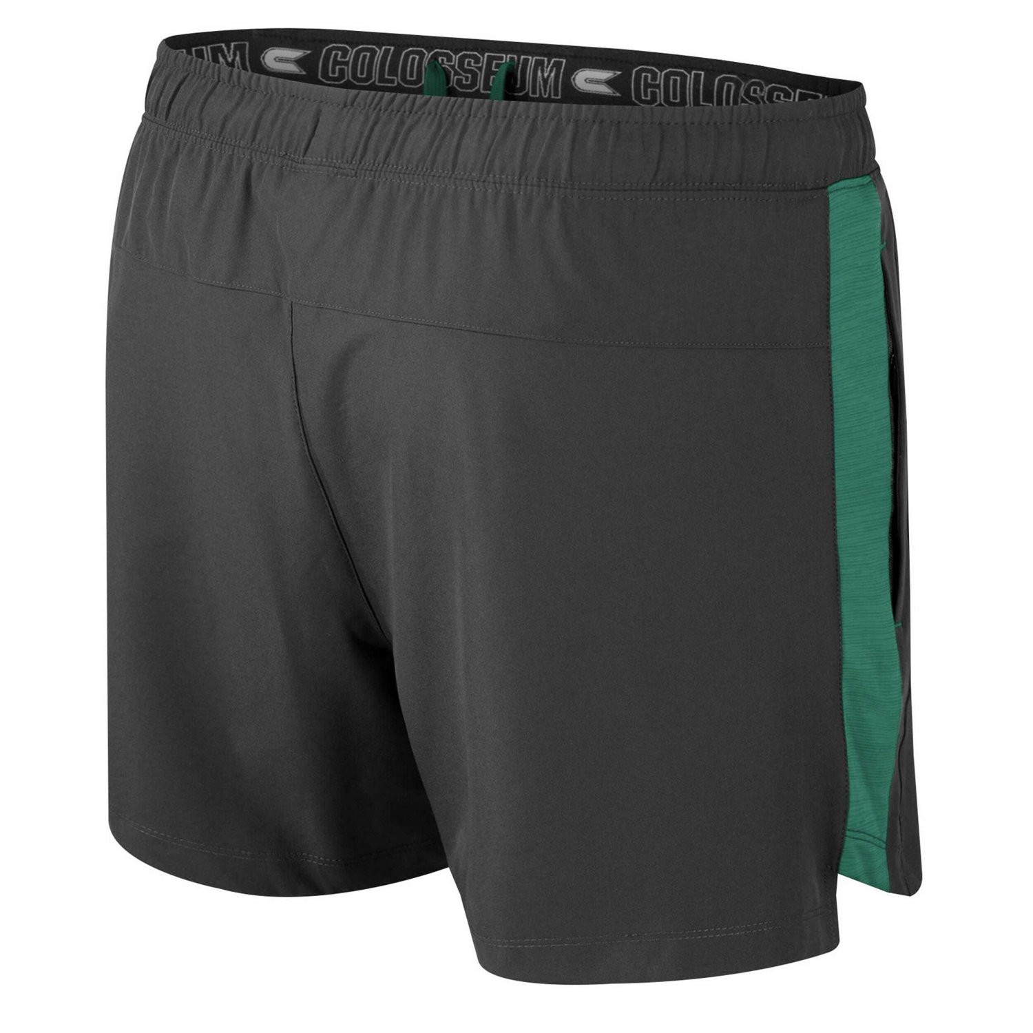 Colosseum Michigan State Spartans Langmore Shorts - view number 3