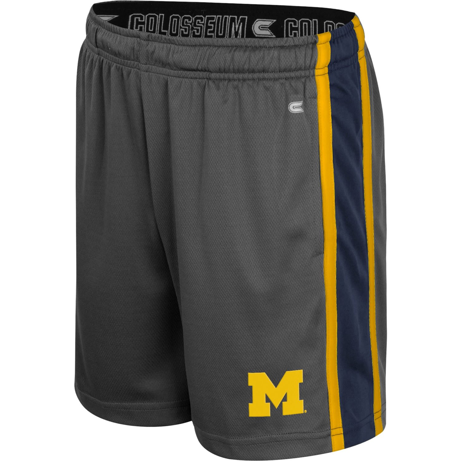Colosseum Michigan Wolverines Ripple Shorts - view number 2