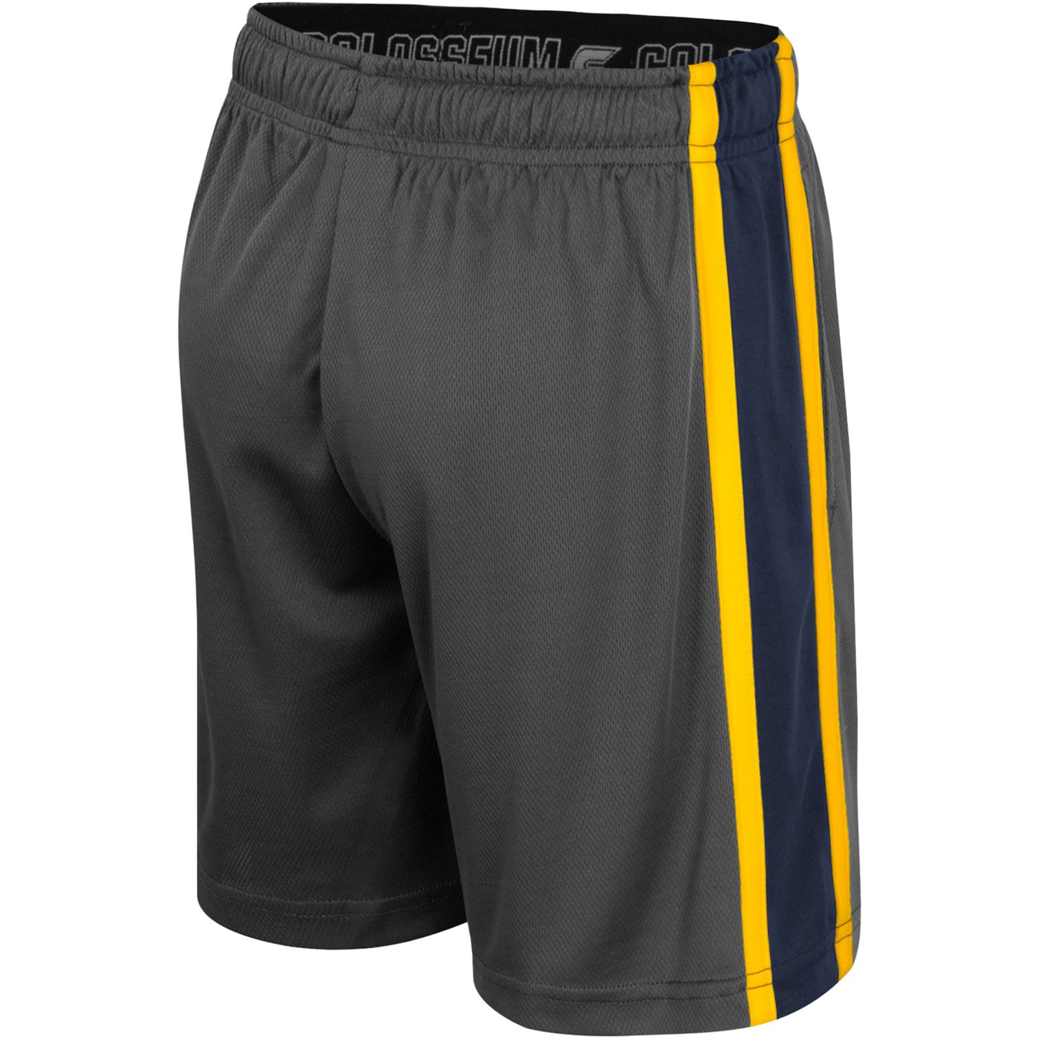 Colosseum Michigan Wolverines Ripple Shorts - view number 3