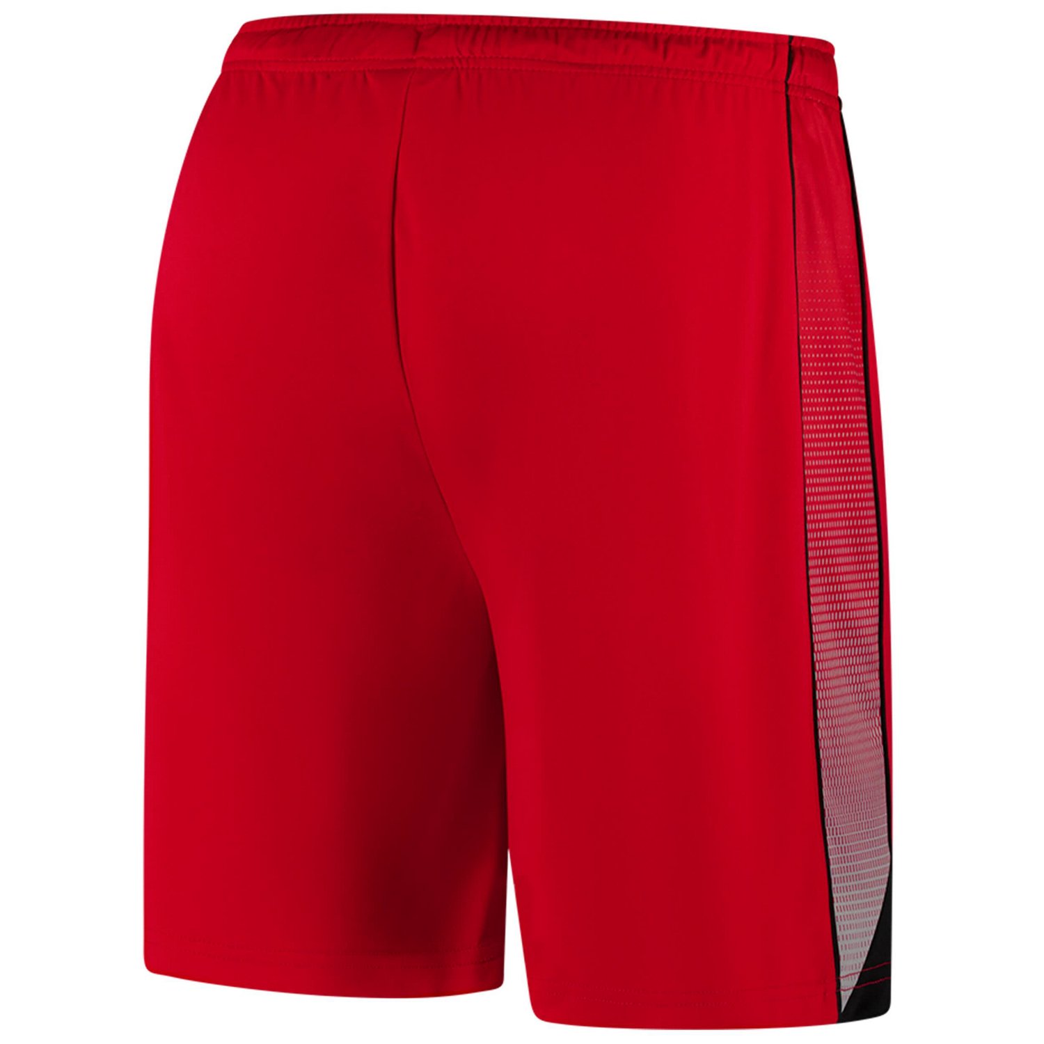 Colosseum Ohio State Buckeyes Online Shorts                                                                                      - view number 3