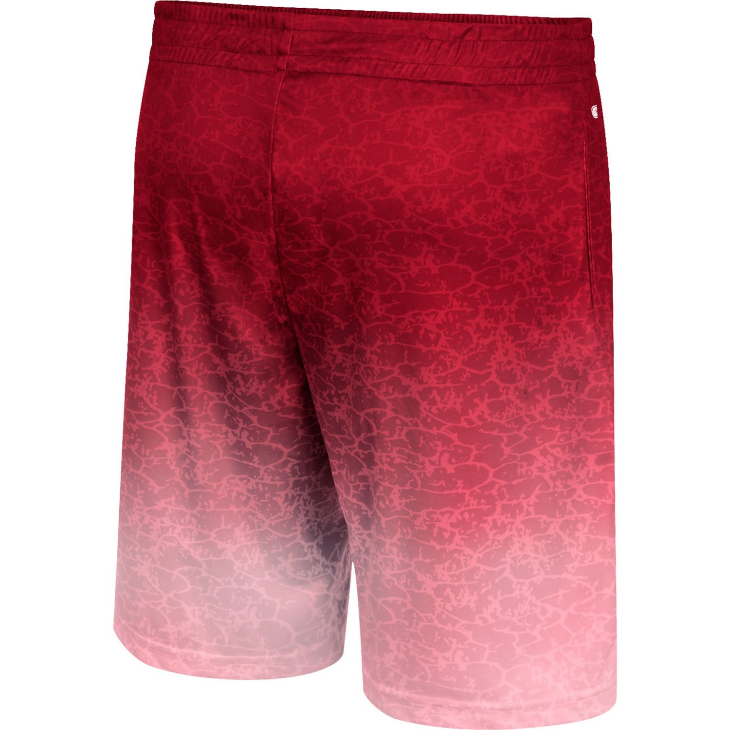 Colosseum Ohio State Buckeyes Walter Shorts - view number 3