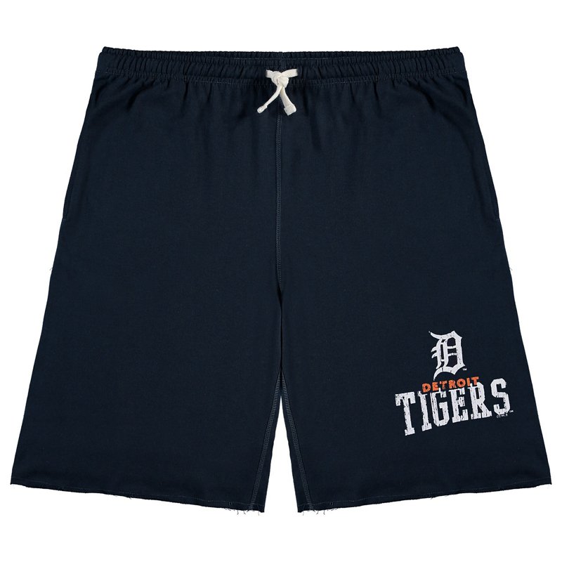 Detroit Tigers Big … - image