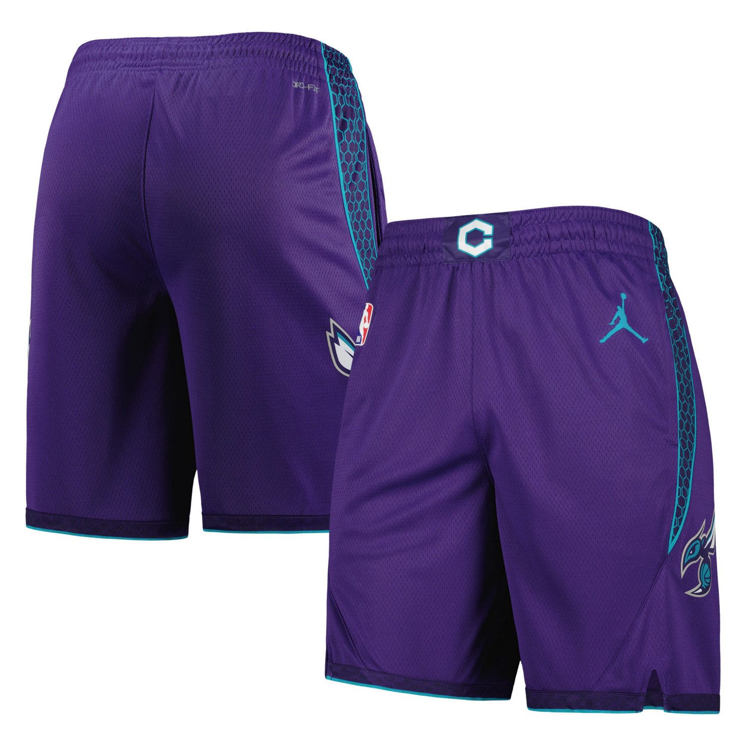 Jordan Brand Charlotte Hornets 2022/2023 Statement Edition Swingman Performance Shorts                                           - view number 1