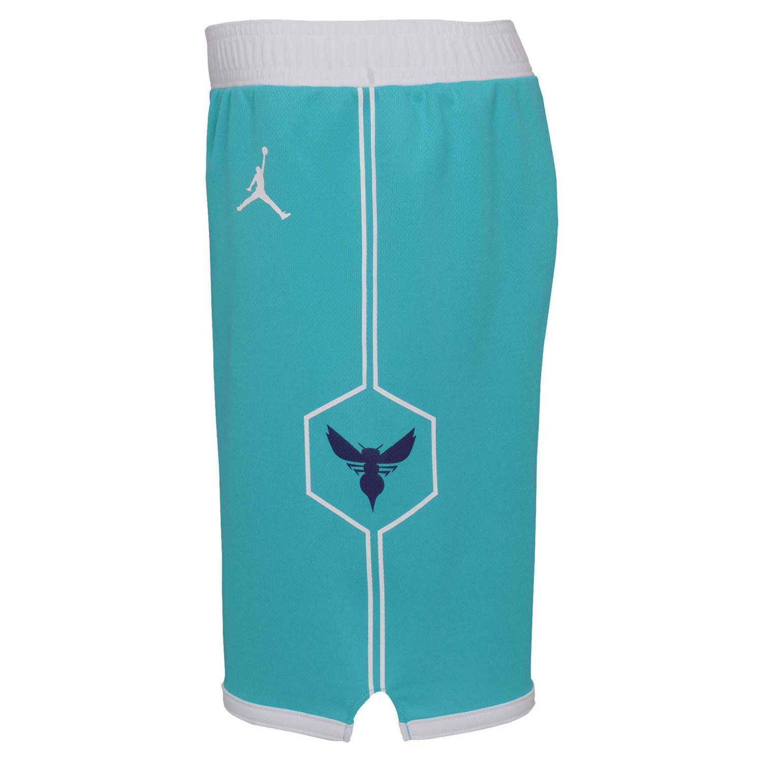 Jordan Brand Charlotte Hornets 2023 24 Icon Edition Replica Shorts                                                               - view number 4