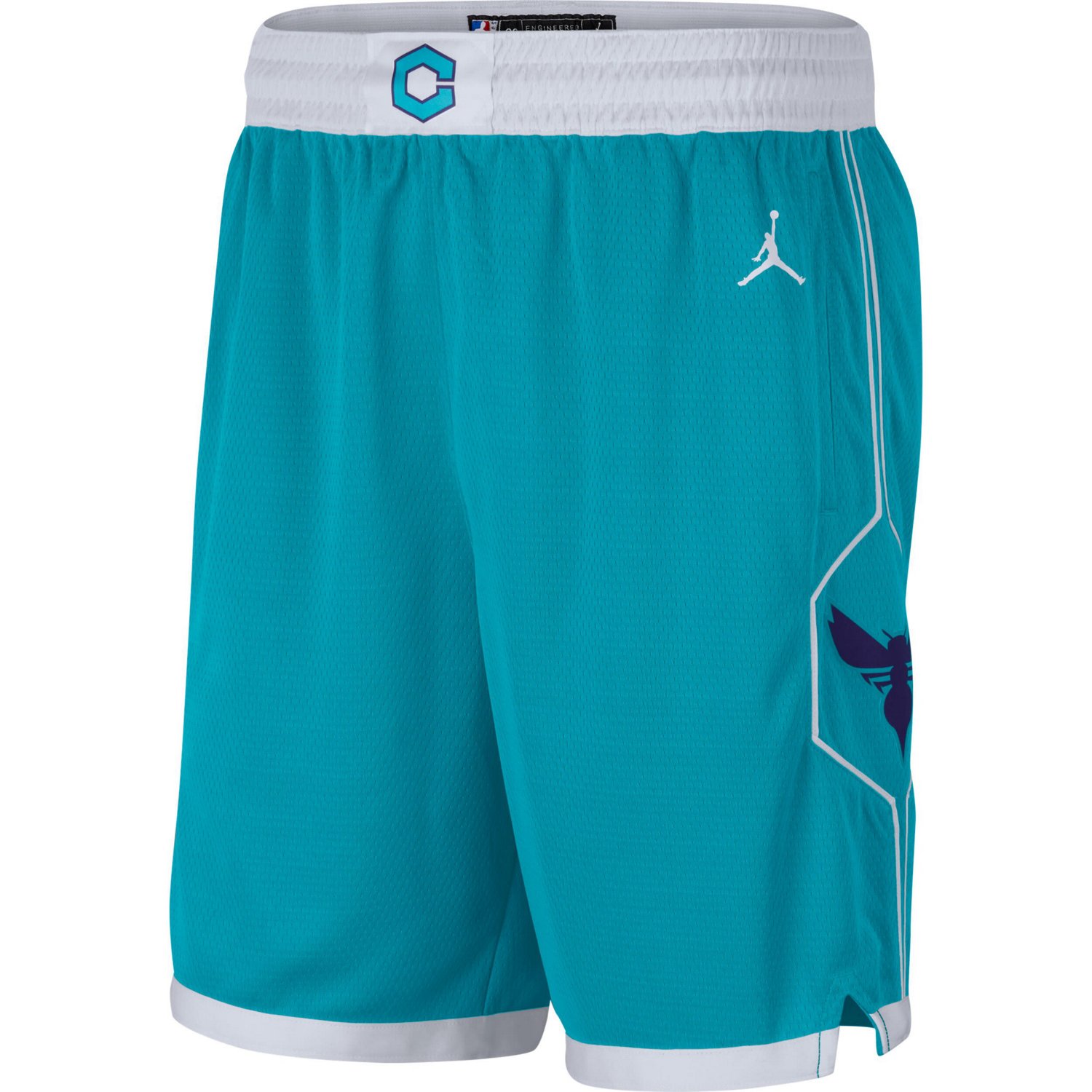 Jordan Brand Charlotte Hornets Statement Edition Swingman Shorts                                                                 - view number 2