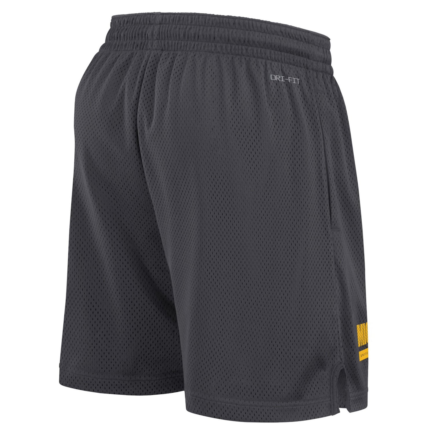 Michigan jordan shorts online