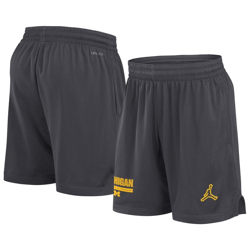 Jordan Brand Michig… - image