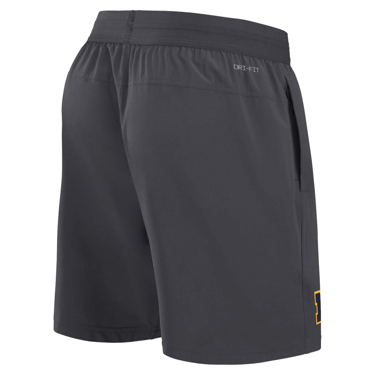 Jordan Brand Michigan Wolverines 2024 Sideline Performance Shorts - view number 3