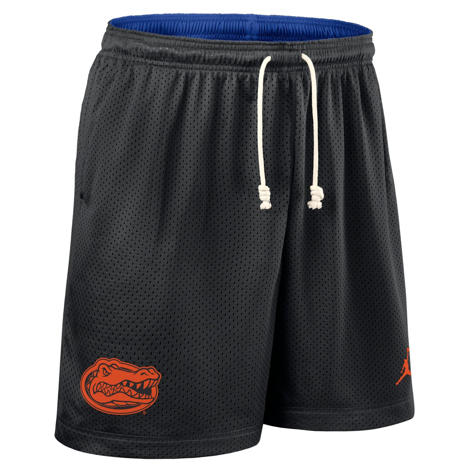 Jordan Brand Royal Florida Gators 2025 Sideline Reversible Performance Shorts - view number 2