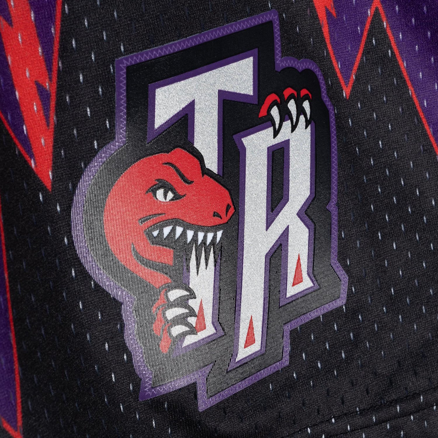 Mitchell  Ness /Purple Toronto Raptors 1998/99 Hardwood Classics Fadeaway Reload 30 Swingman Shorts                              - view number 4