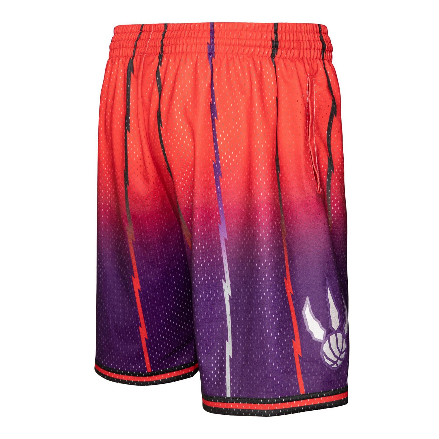 Mitchell  Ness /Purple Toronto Raptors 1998/99 Hardwood Classics Fadeaway Reload 30 Swingman Shorts                              - view number 3