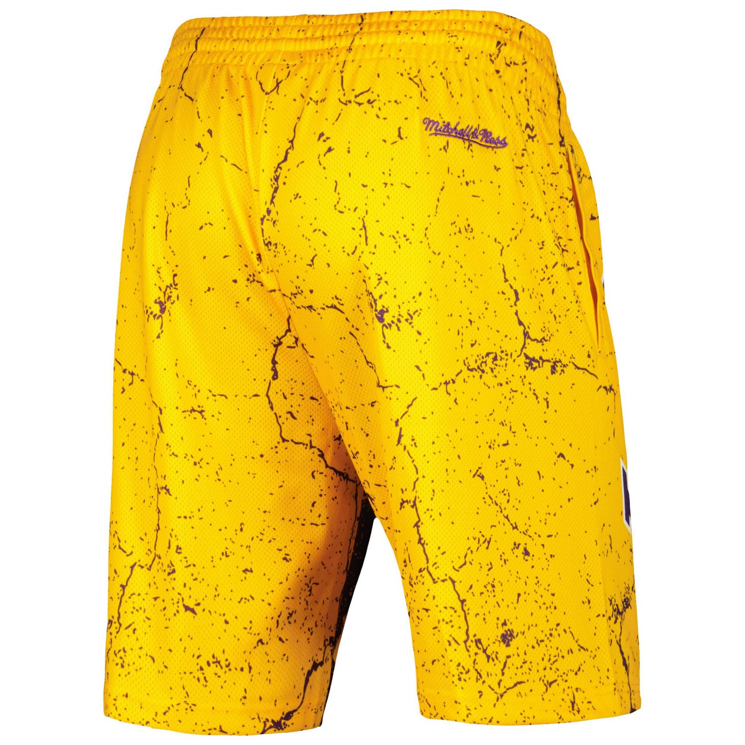Mitchell  Ness Magic Johnson Los Angeles Lakers Hardwood Classics Player Burst Shorts                                            - view number 3