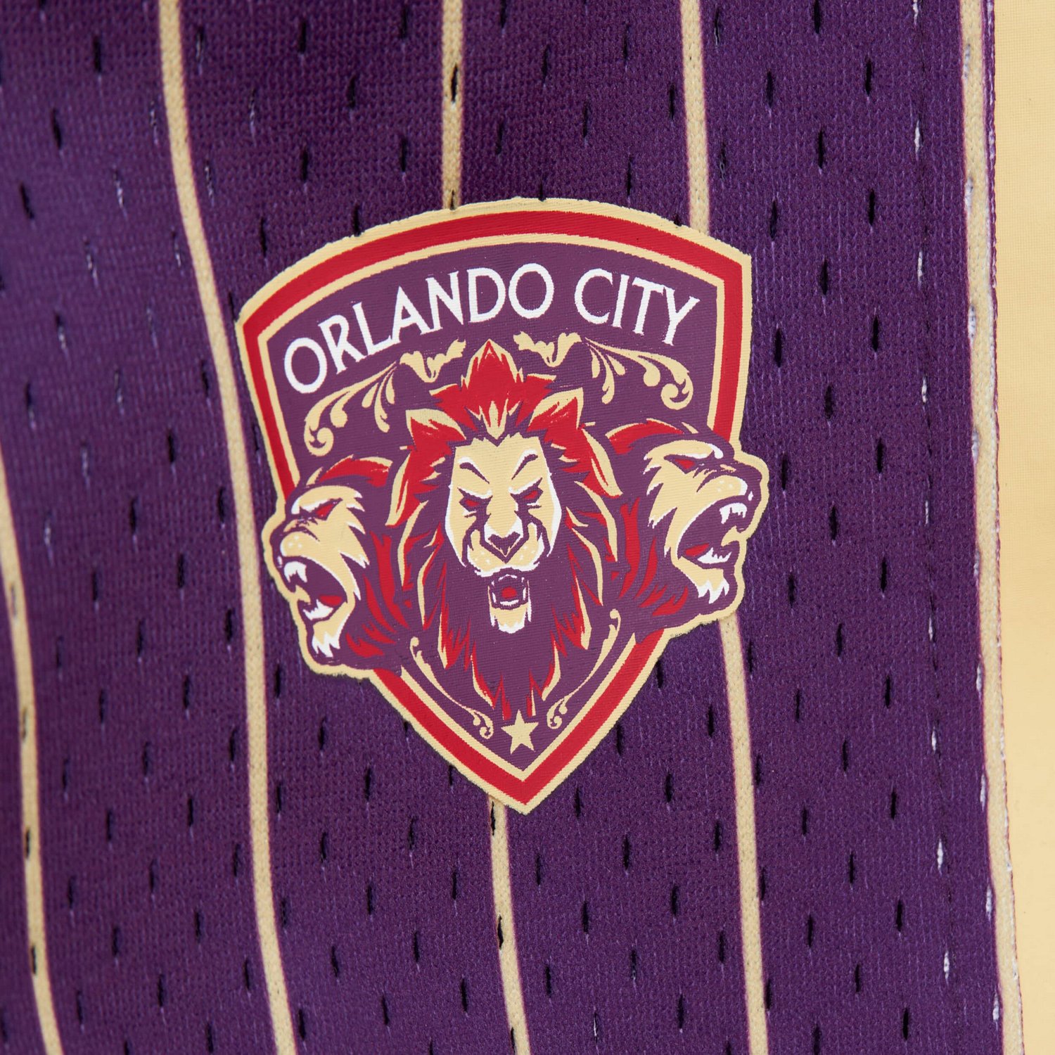 Mitchell  Ness Orlando City SC 10th Anniversary Mesh Shorts                                                                      - view number 4