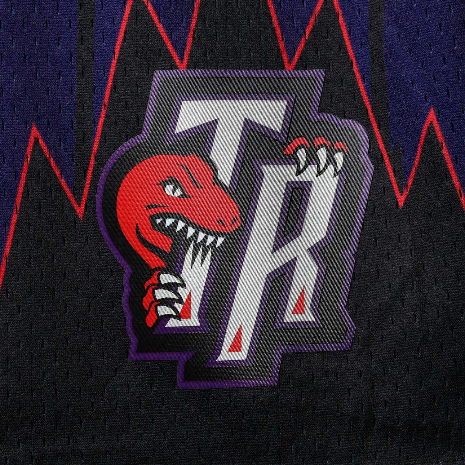 Mitchell  Ness Toronto Raptors Big  Tall Hardwood Classics Team Swingman Shorts                                                  - view number 2