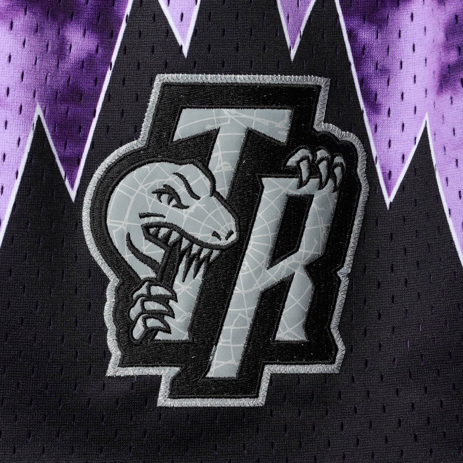 Mitchell  Ness Toronto Raptors Hardwood Classics 1998 Galaxy Swingman Shorts                                                     - view number 3