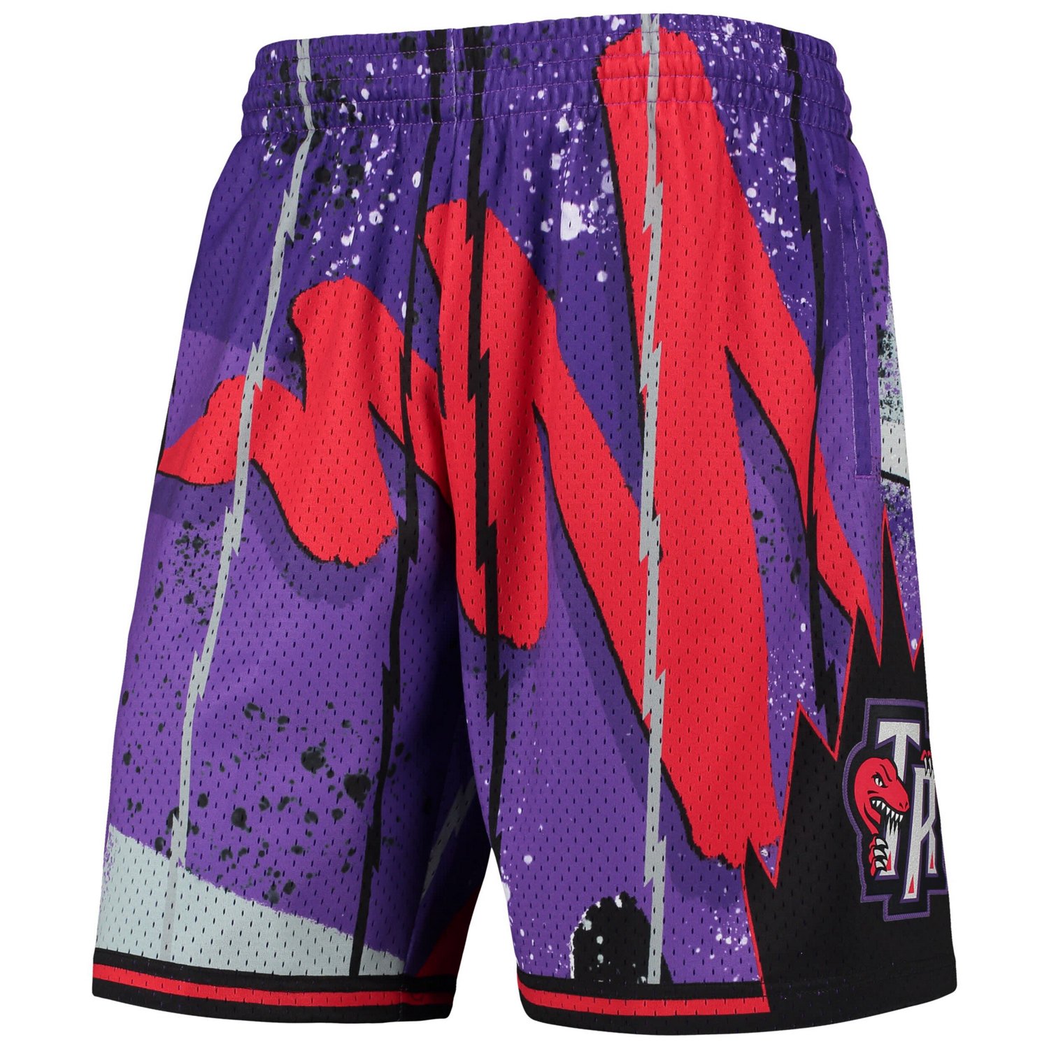 Mitchell  Ness Toronto Raptors Hardwood Classics 1998 Hyper Hoops Swingman Shorts                                                - view number 2