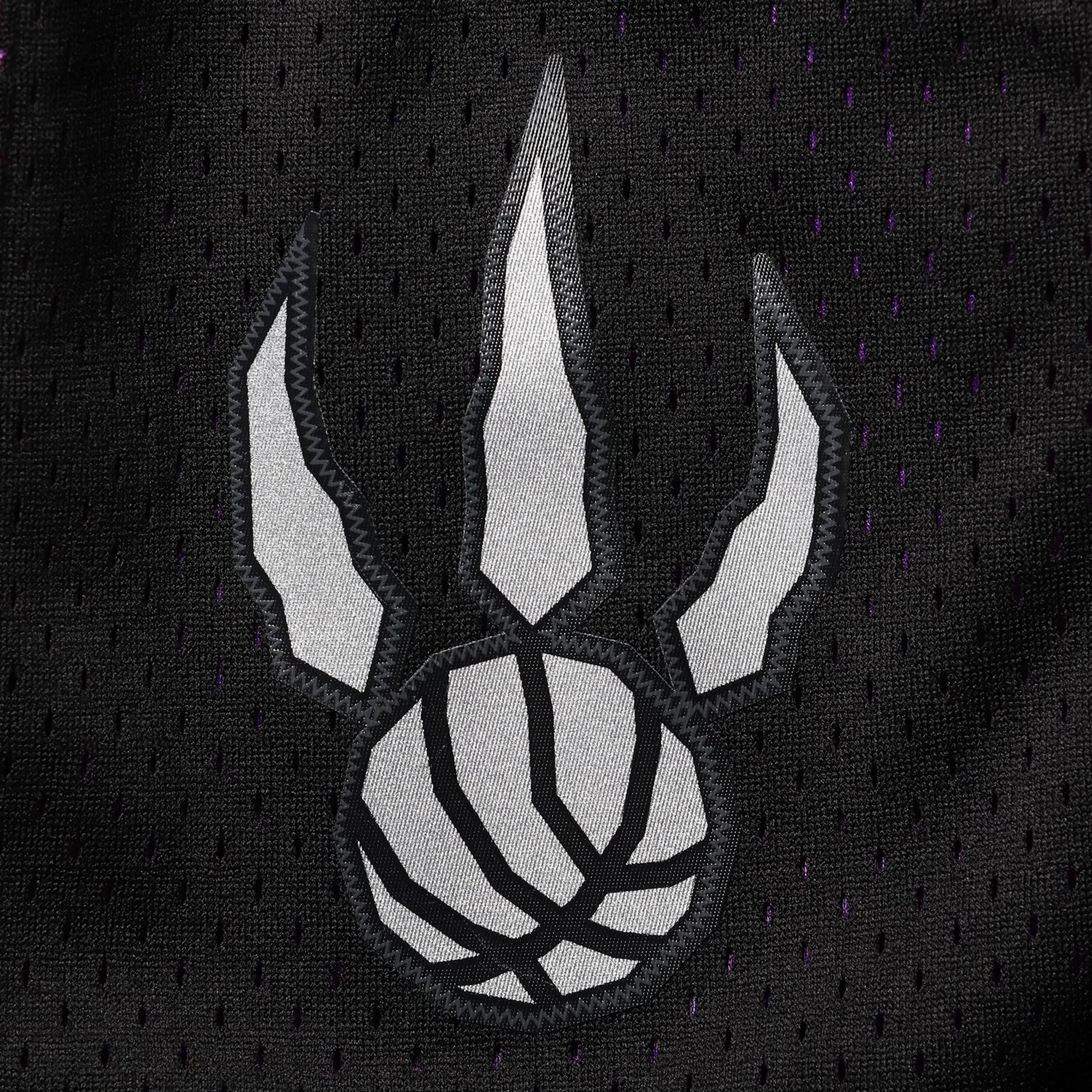 Mitchell  Ness Toronto Raptors Hardwood Classics Primary Logo Swingman Shorts - view number 3