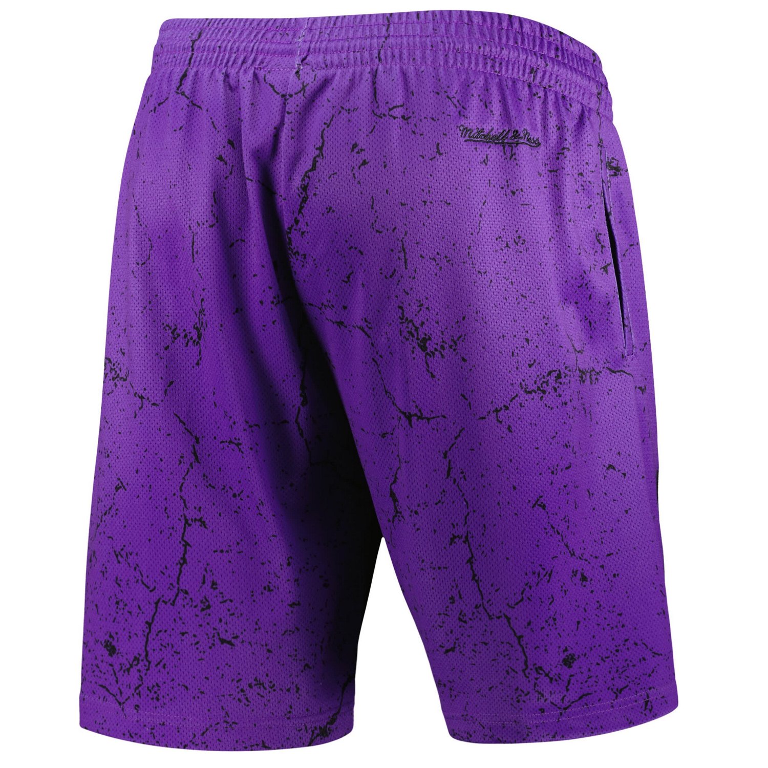 Mitchell  Ness Vince Carter Toronto Raptors Hardwood Classics Player Burst Shorts                                                - view number 3