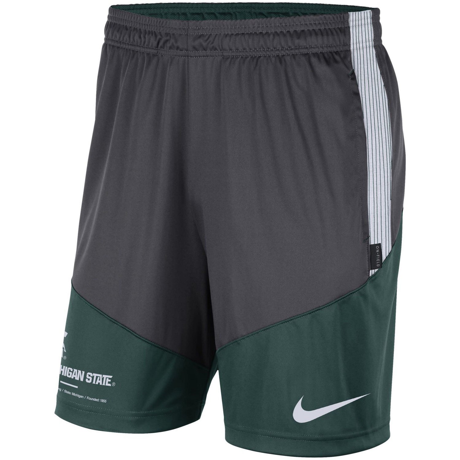 Nike / Michigan State Spartans Team Performance Knit Shorts - view number 2