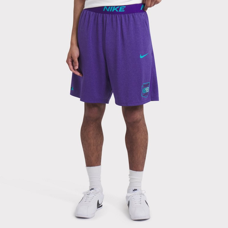 Nike Arizona Diamon… - image
