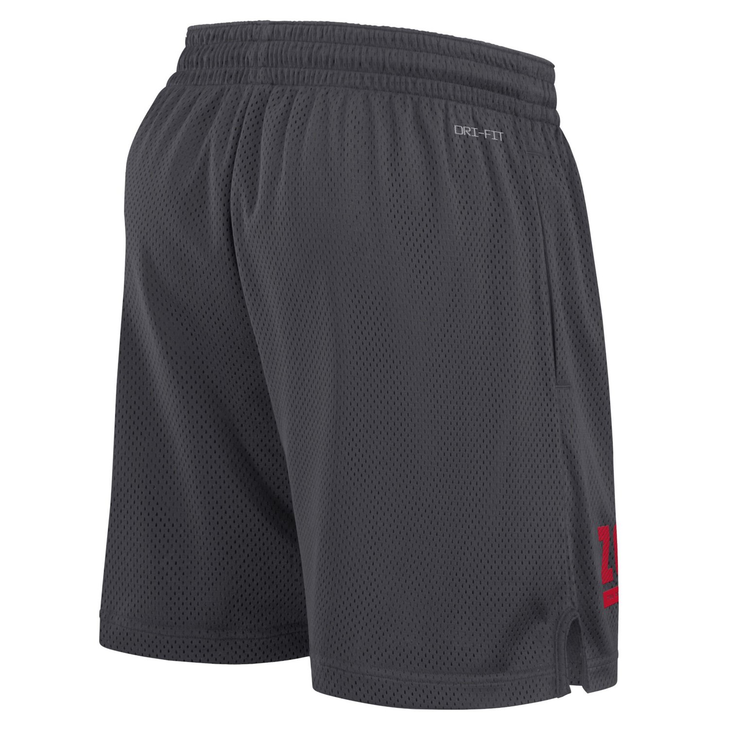 Nike Arizona Wildcats 2024 Sideline Mesh Shorts                                                                                  - view number 3