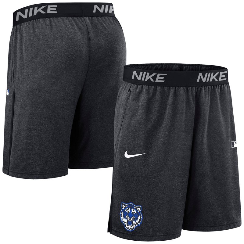 Nike Detroit Tigers… - image