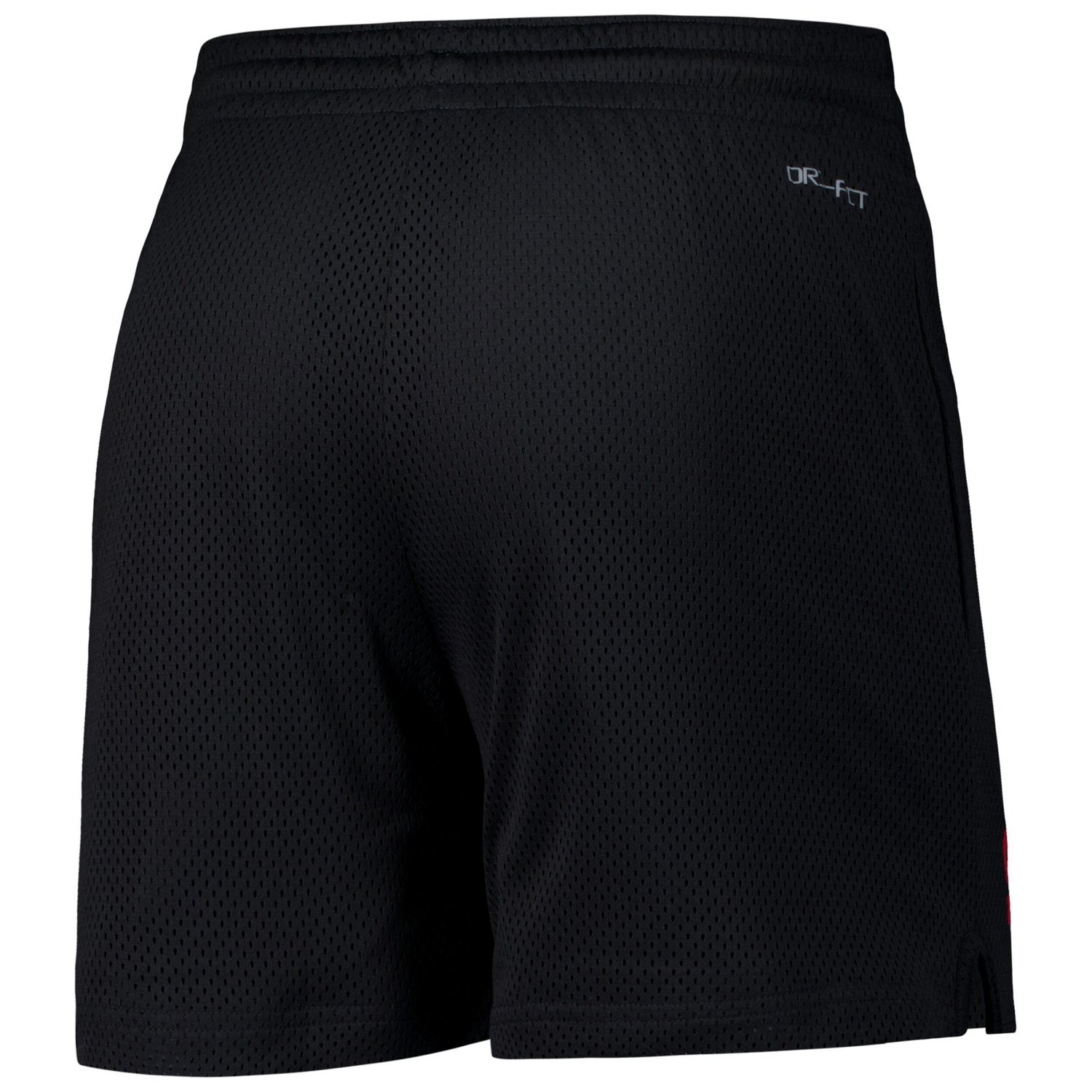 Nike Iowa State Cyclones 2024 Sideline Mesh Shorts                                                                               - view number 3