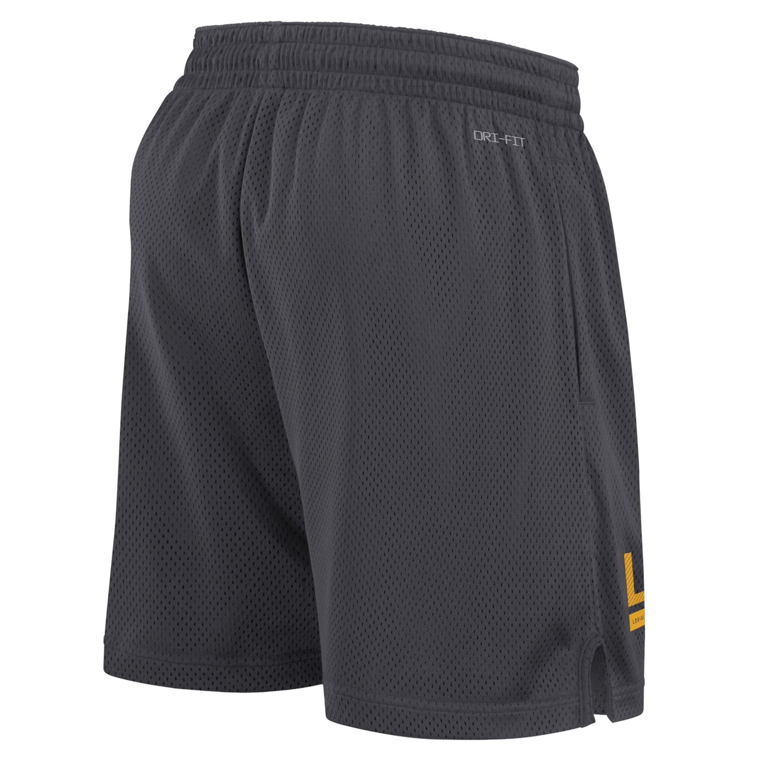 Nike LSU Tigers 2024 Sideline Mesh Shorts - view number 3