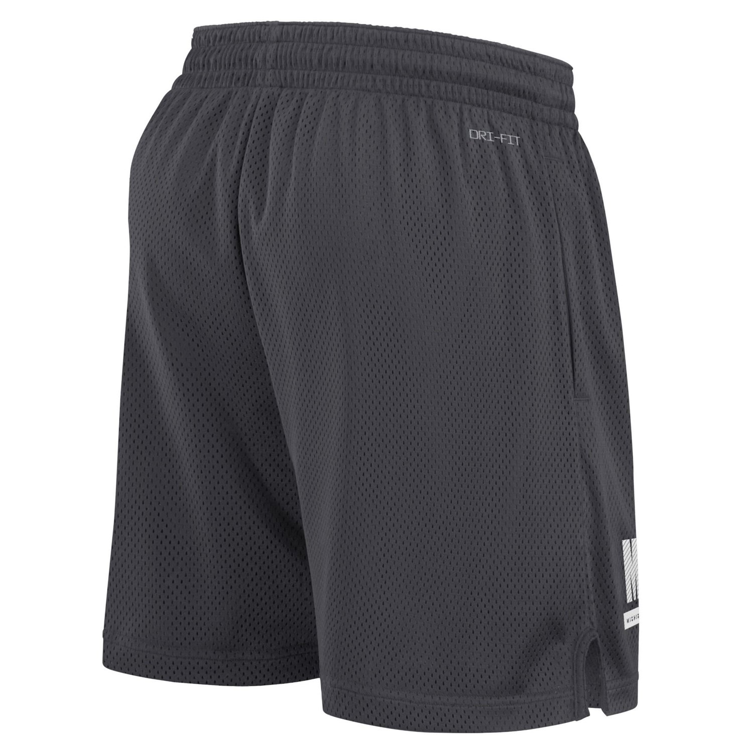 Nike Michigan State Spartans 2024 Sideline Performance Mesh Shorts                                                               - view number 3