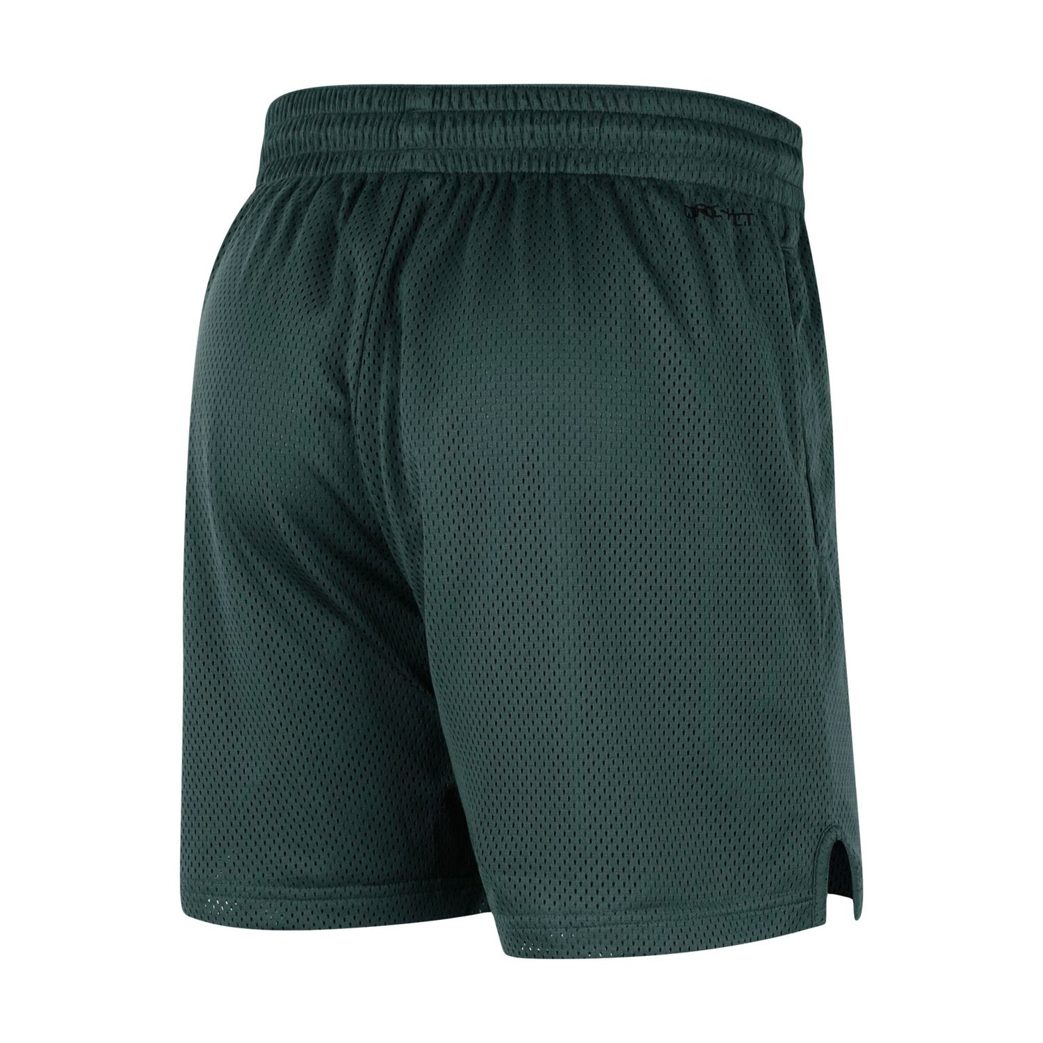 Nike Michigan State Spartans Mesh Performance Shorts - view number 3