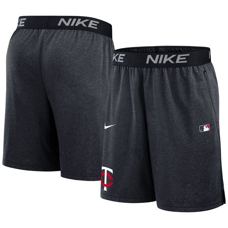 Nike Minnesota Twin… - image