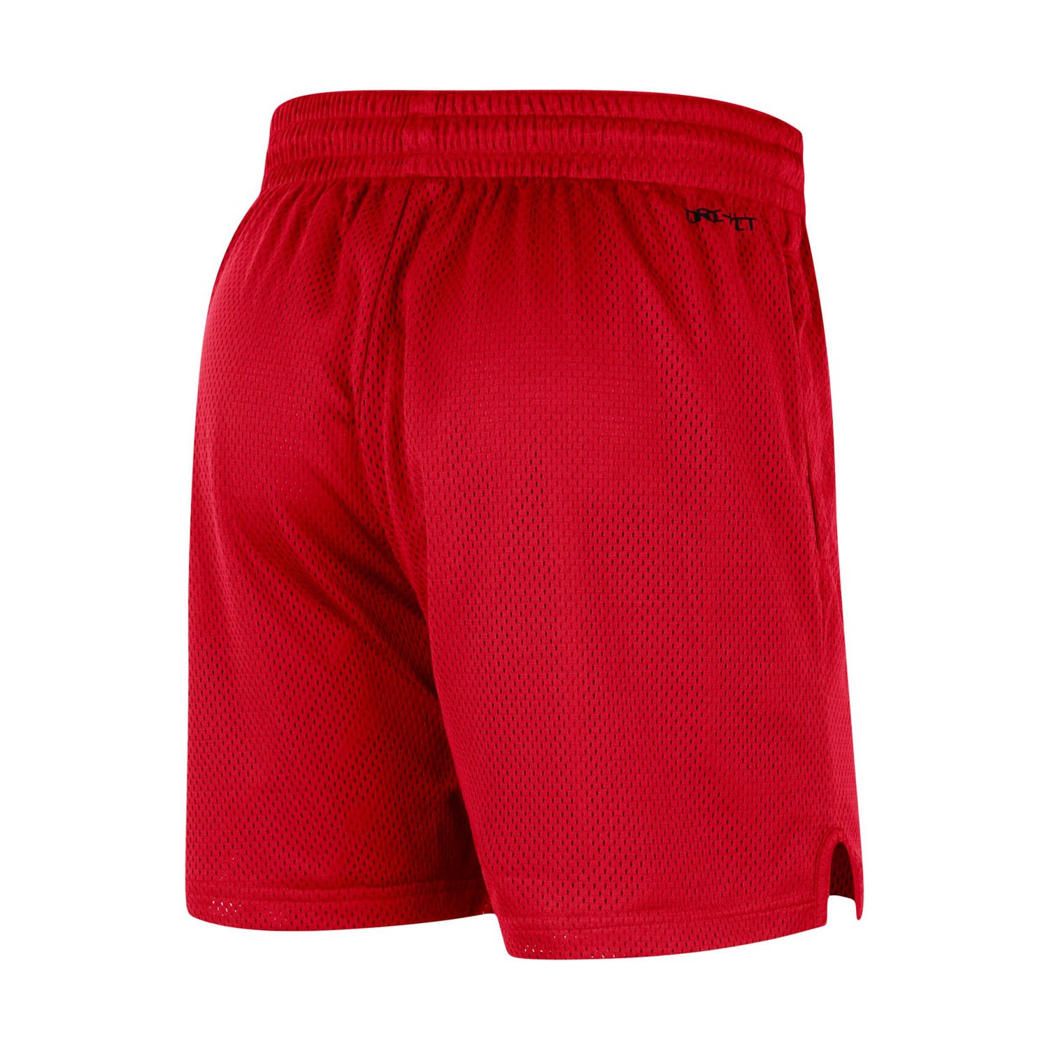 Nike Ohio State Buckeyes Mesh Performance Shorts - view number 3