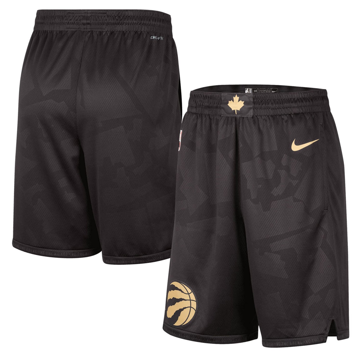 Nike Toronto Raptors 2022/23 City Edition Swingman Shorts