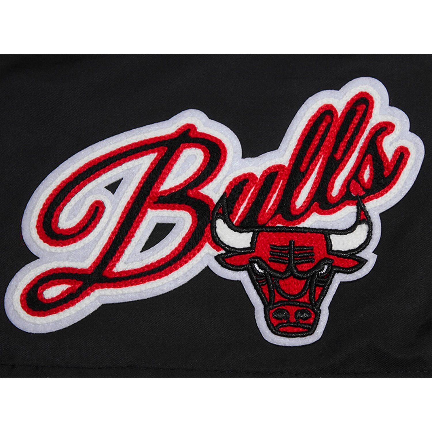 Pro Standard Chicago Bulls Script Woven Shorts                                                                                   - view number 4