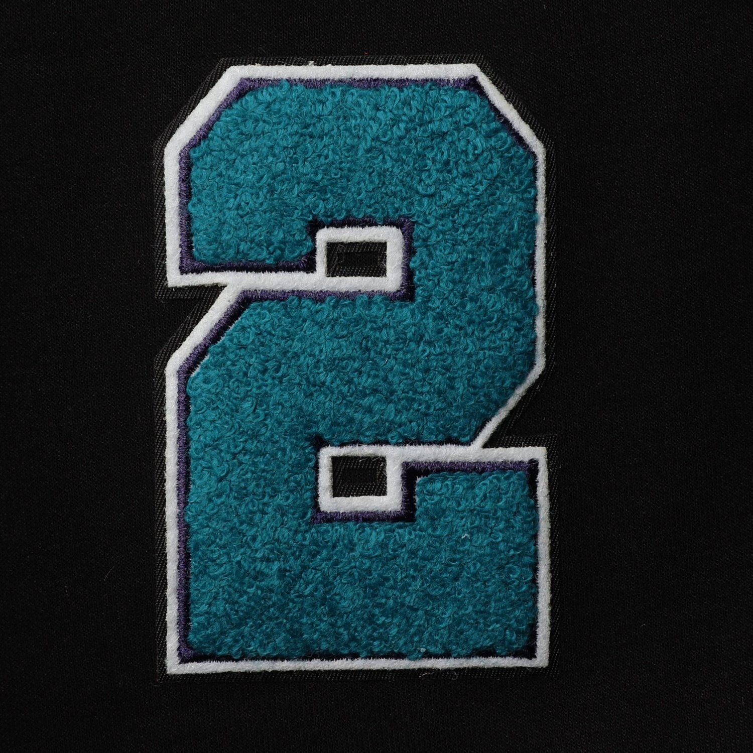 Pro Standard LaMelo Ball Charlotte Hornets Team Player Shorts                                                                    - view number 4