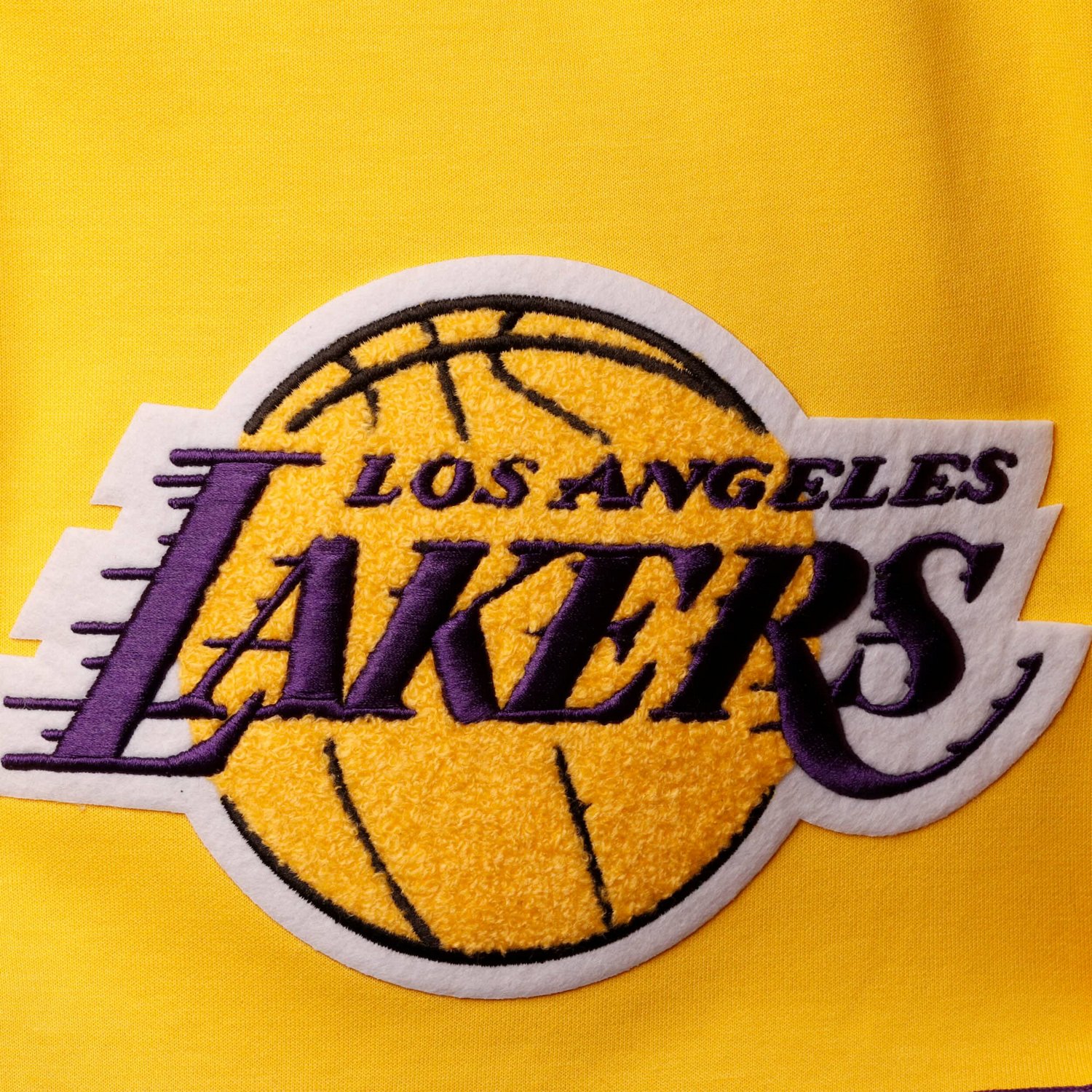 Pro Standard Los Angeles Lakers Chenille Shorts - view number 4