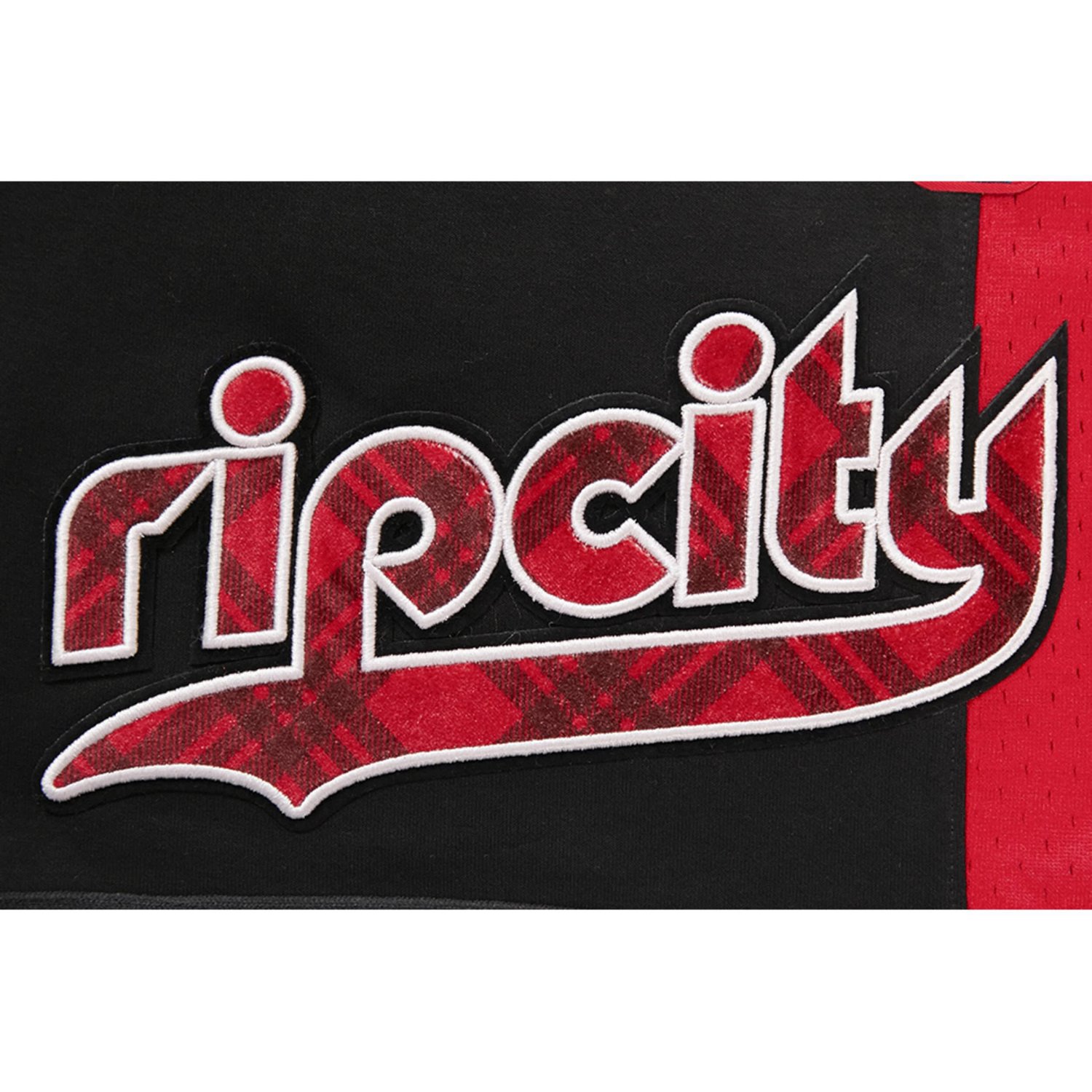 Pro Standard Portland Trail Blazers 2023 24 City Edition DK Shorts - view number 4