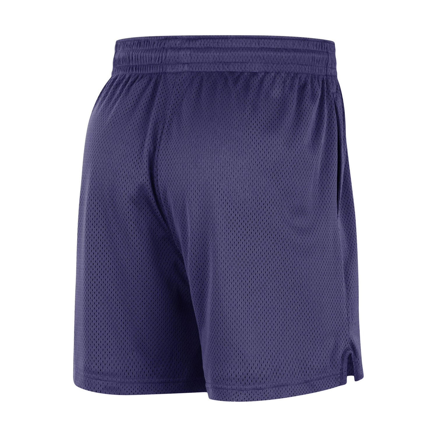 Unisex Nike Phoenix Suns Warm Up Performance Practice Shorts                                                                     - view number 3