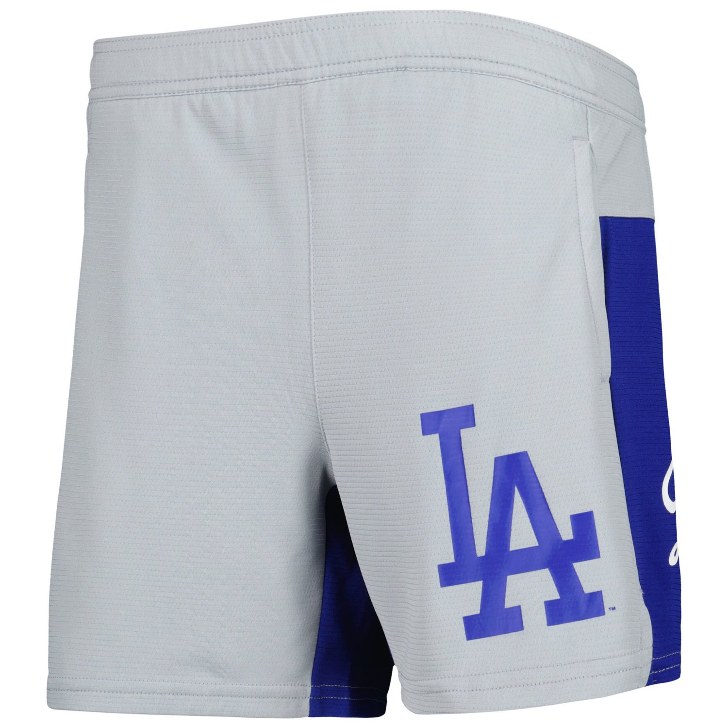 Youth Los Angeles Dodgers 7th Inning Stretch Shorts                                                                              - view number 2