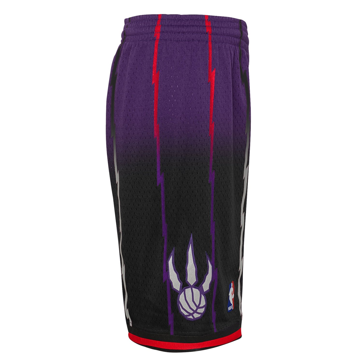 Youth Mitchell  Ness /Black Toronto Raptors 1998/99 Hardwood Classics Fadeaway Reload 30 Swingman Shorts                         - view number 4