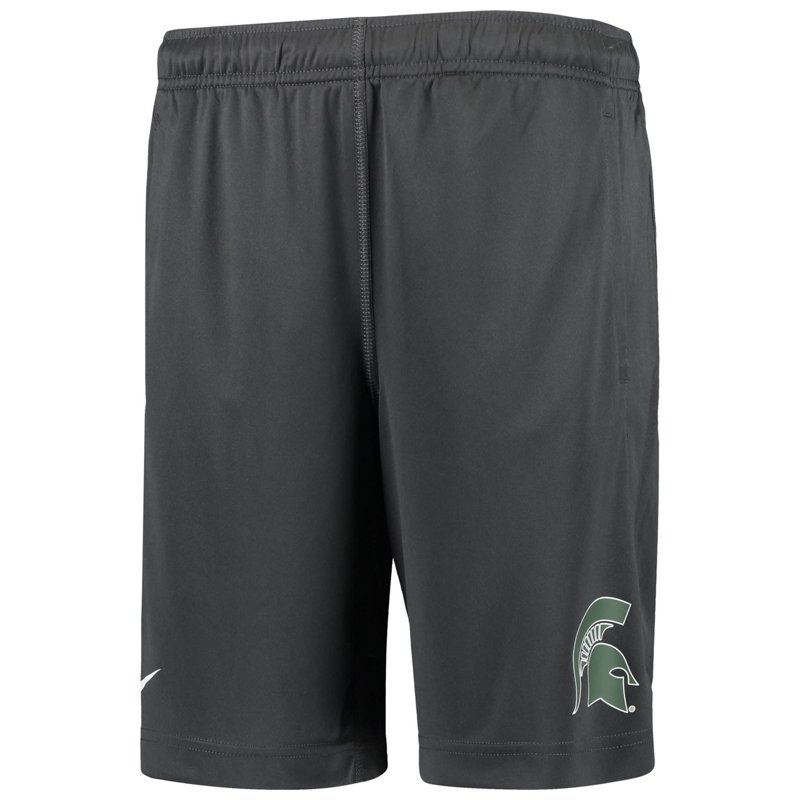 Youth Nike Michigan… - image