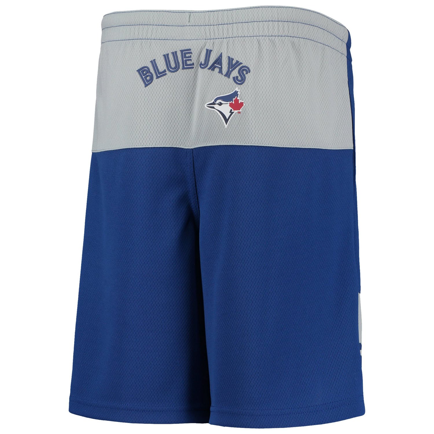 Youth Vladimir Guerrero Jr Toronto Blue Jays Pandemonium Name  Number Shorts - view number 3
