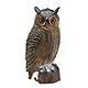 Game Winner® 3-D Owl Decoy                                                                                                      - view number 1 image