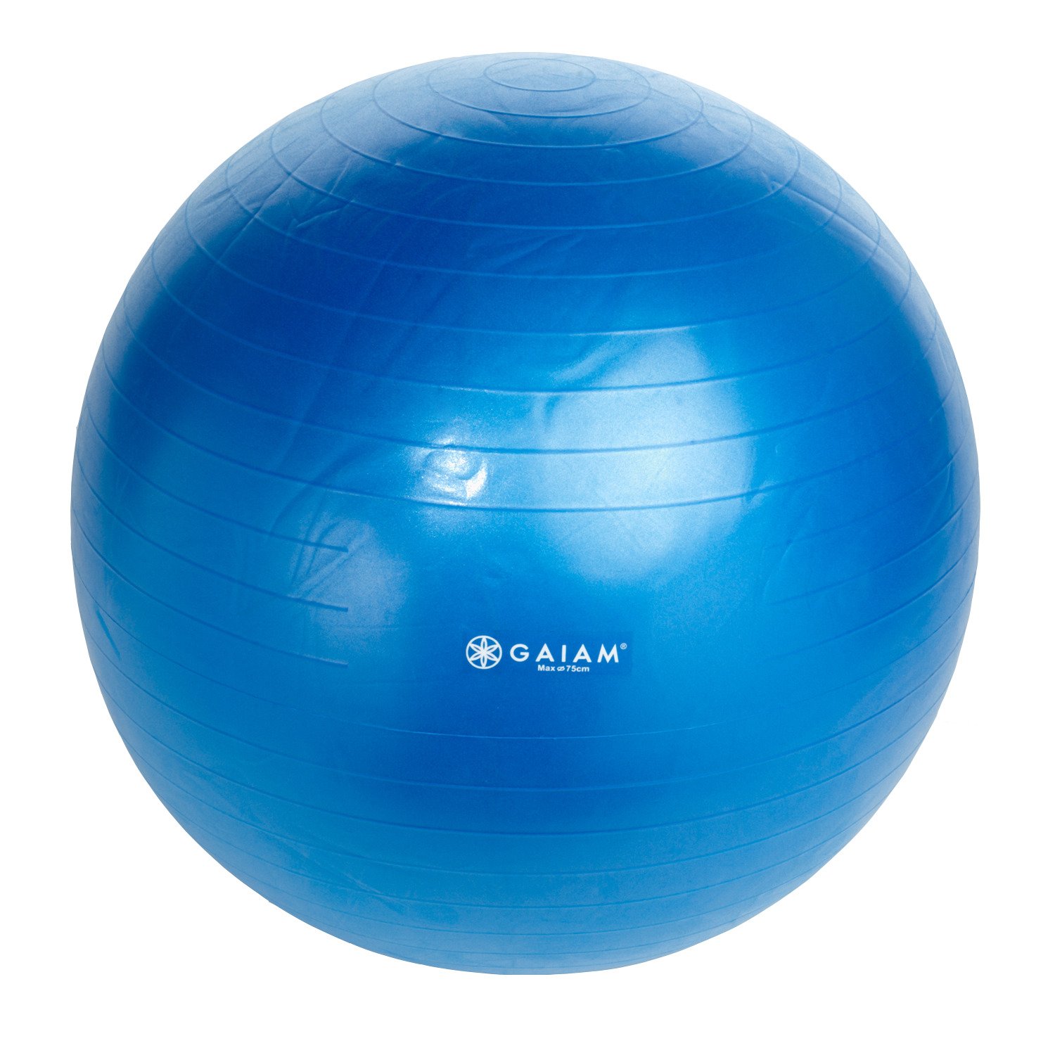 Total Body Balance Ball® Kit - Gaiam