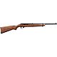 Ruger 10/22 .22 LR Carbine Autoloading Rifle                                                                                     - view number 1 selected