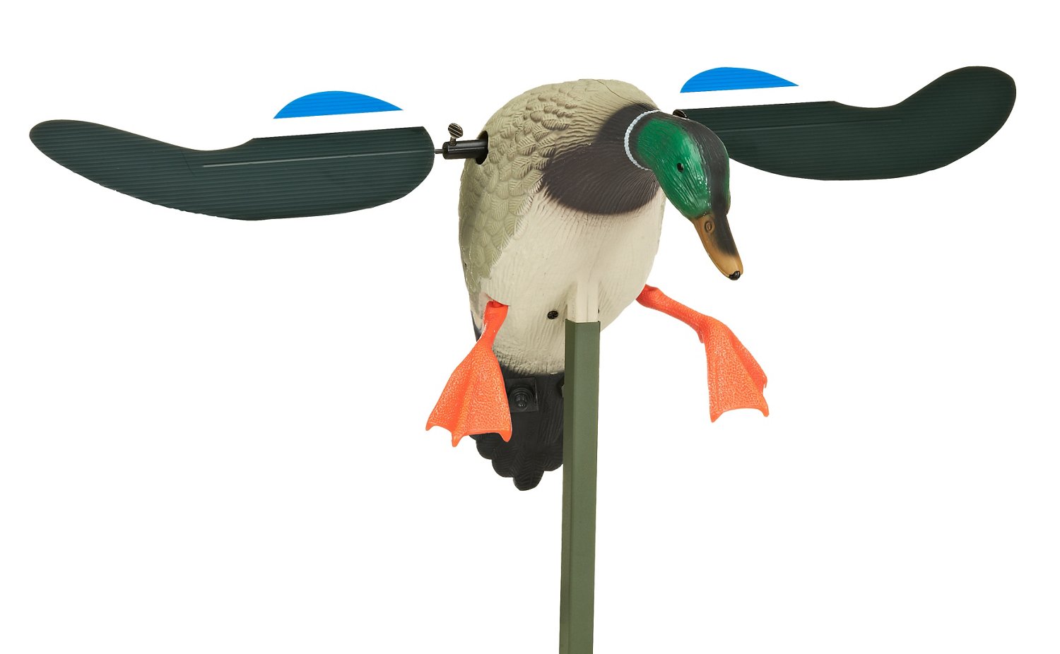 MOJO Outdoors™ Baby MOJO 3-D Drake Decoy | Academy