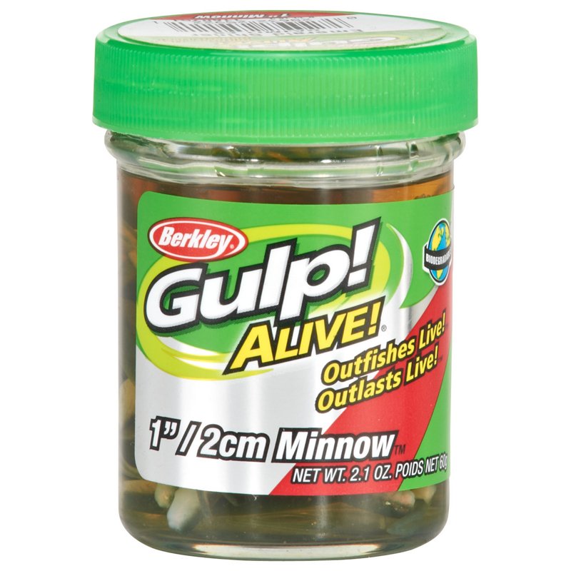 Berkley Gulp Alive&trade; 1" Minnow Jar Green - Frsh Wtr Panfish Bait at Academy Sports